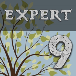 Enigmatica 9: Expert - E9E