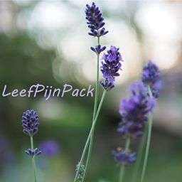 LeefPijnPack