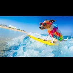 Warline Create Warfare