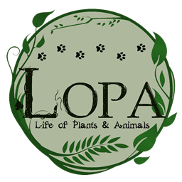 LOPA - Life of Plants and Animals FABRIC