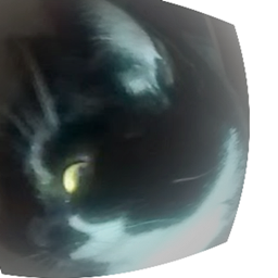 Ninjacat Pack 1.12.2